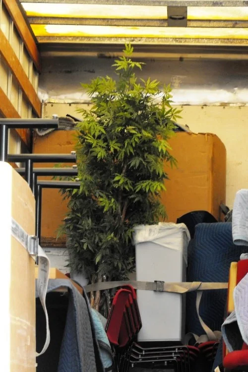 Gratis Entrümpelung Wien mit Wertausgleich