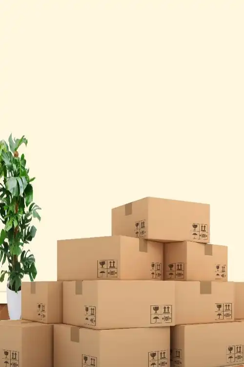 Wohnungsentrümpelung Niederösterreich