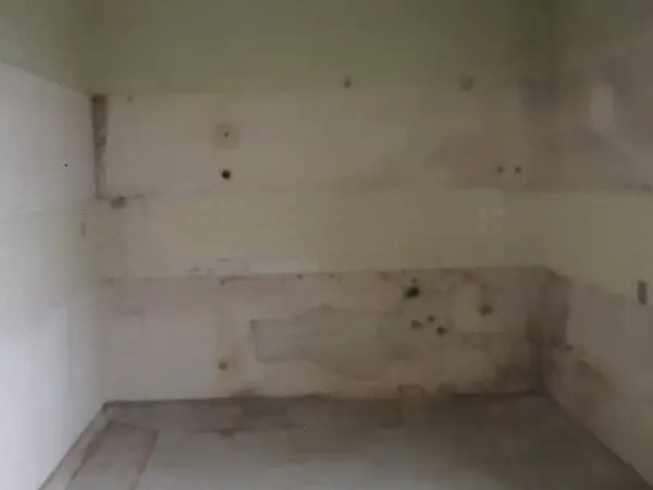 Entrümpelung Wien 2