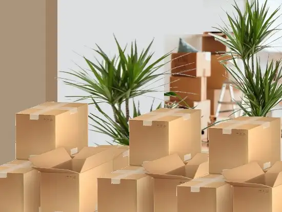 Haushaltsauflösung mit Wertausgleich