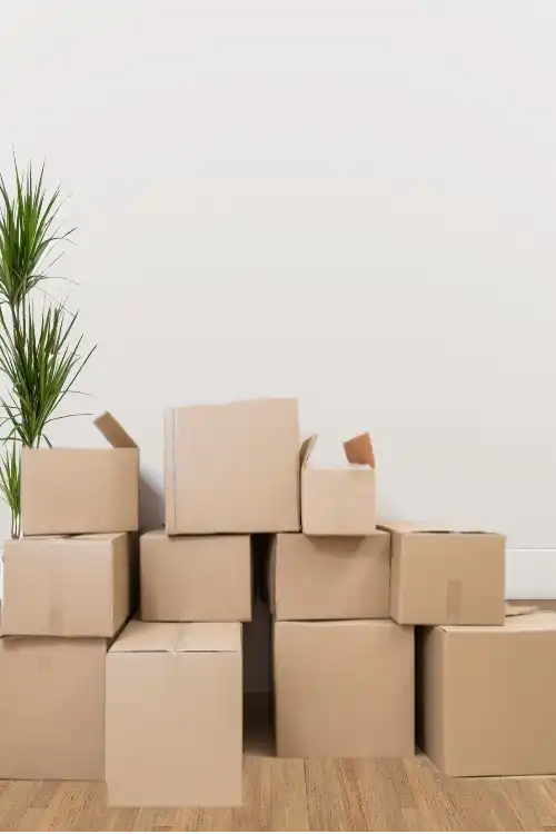 Wohnungsentrümpelung Wien